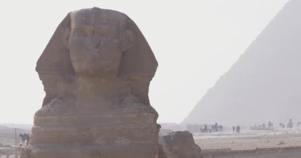 Esfinge Giza Egipto Vídeo — Vídeos de Stock