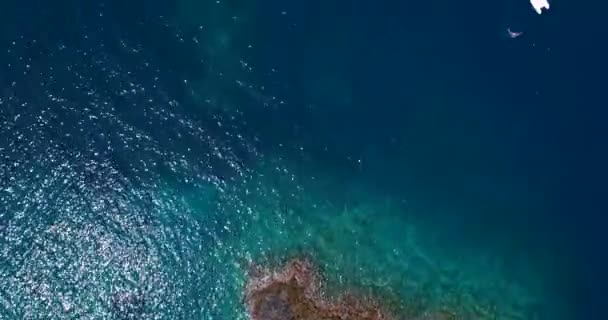 Barco Mar Dejando Velorio — Vídeos de Stock