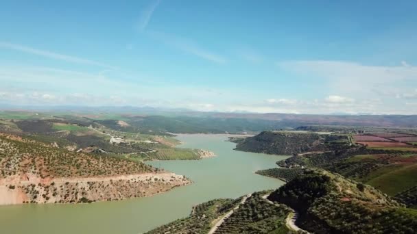 Campos Olivos Marruecos Vista Aérea — Vídeos de Stock