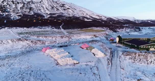 Granja Campos Iceland — Vídeos de Stock