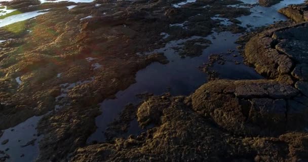 Paisaje Una Playa Vista Aérea Islandia — Vídeo de stock