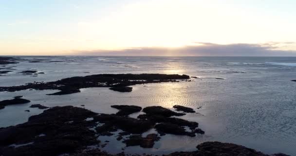 Paisaje Una Playa Vista Aérea Islandia — Vídeos de Stock