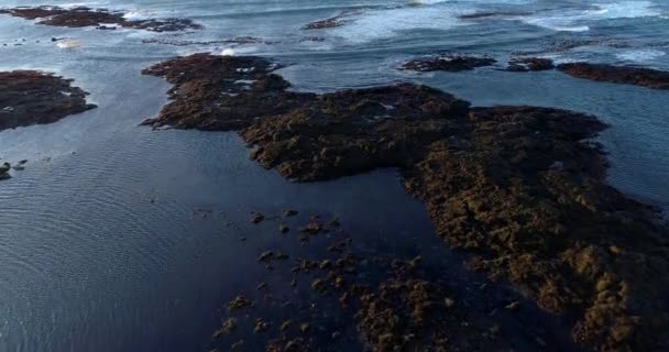 Landscape Beach Aerial View Iceland — Stock Video