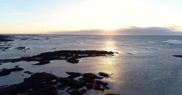 Landschaft Eines Strandes Aus Der Luft Island — Stockvideo