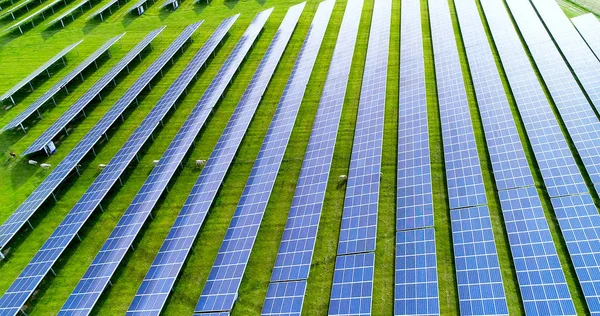 Solar Panels Aerial View — Stock Photo, Image