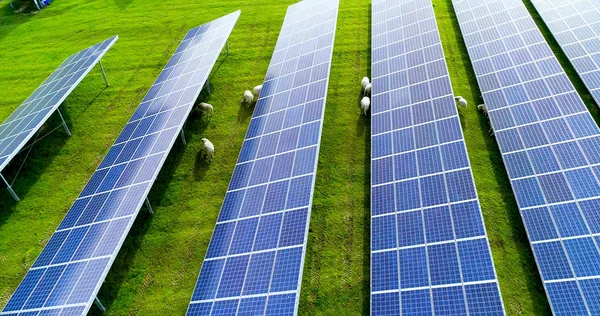 Solar Panels Aerial View — Stock Photo, Image