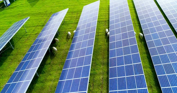 Hava görünümünde güneş panelleri