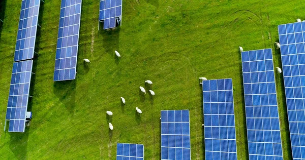 Hava görünümünde güneş panelleri