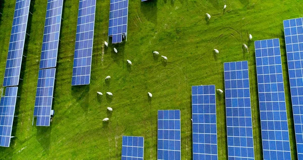 Zonnepanelen Vanuit Lucht Bekeken — Stockfoto