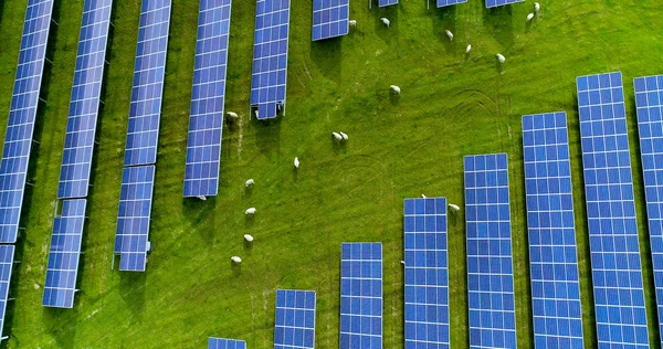 Zonnepanelen Vanuit Lucht Bekeken — Stockfoto