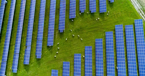 Paneles Solares Vista Aérea —  Fotos de Stock