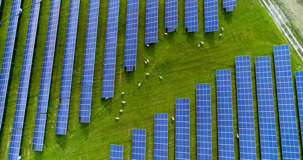 空中看到的太阳能电池板 — 图库照片