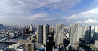 Tokyo körfezi havadan görünüyor.