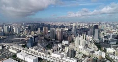 Tokyo körfezi havadan görünüyor.