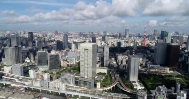 Tokyo körfezi havadan görünüyor.