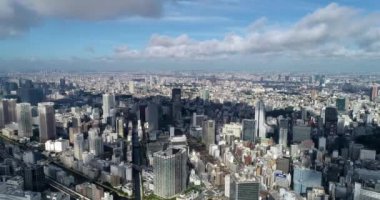 Tokyo körfezi havadan görünüyor.