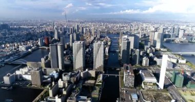 Tokyo körfezi havadan görünüyor.