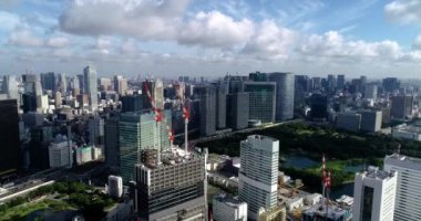 Tokyo körfezi havadan görünüyor.