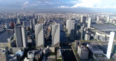 Tokyo körfezi havadan görünüyor.