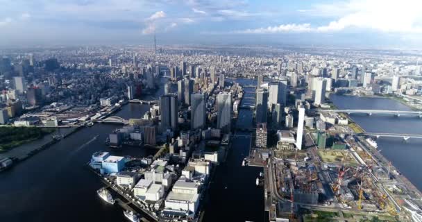 Golful Tokyo Vedere Aeriană — Videoclip de stoc