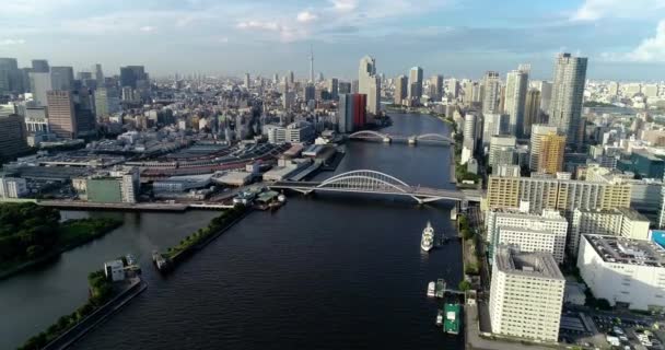 Baía Tóquio Vista Aérea — Vídeo de Stock