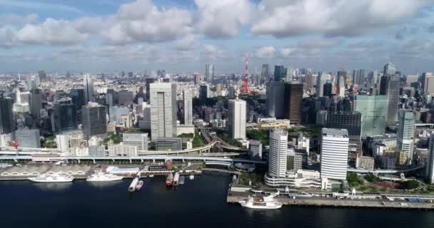 Tokio Baai Lucht Uitzicht — Stockvideo