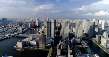 Tokyo körfezi havadan görünüyor.