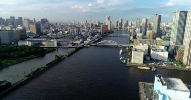 Tokyo körfezi havadan görünüyor.