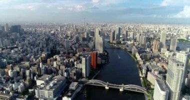 Tokyo körfezi havadan görünüyor.