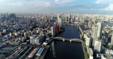 Tokyo körfezi havadan görünüyor.