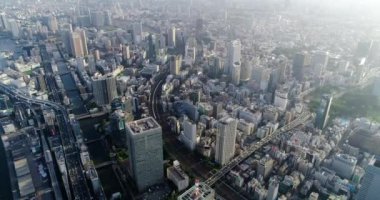 Tokyo körfezi havadan görünüyor.