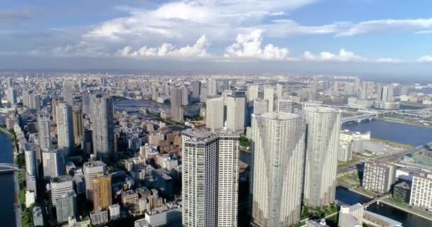 Tokyo Bay Luften — Stockvideo