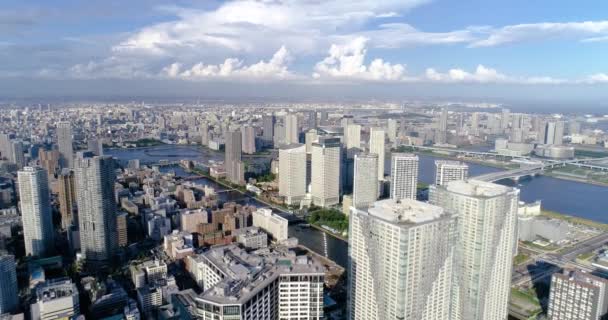 Zatoka Tokio Widoku Powietrza — Wideo stockowe
