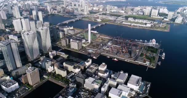 Tokyo Körfezi Havadan Görünüyor — Stok video