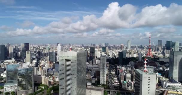 东京海湾的航景 — 图库视频影像