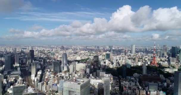 Tokio Baai Lucht Uitzicht — Stockvideo