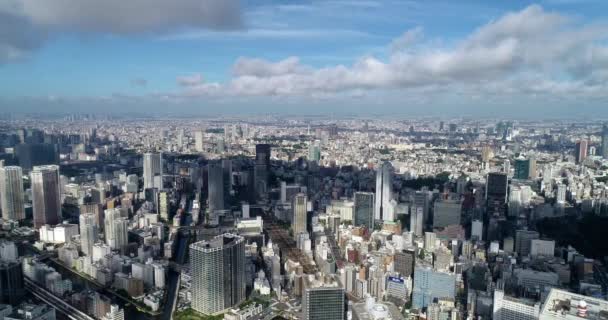 Tokio Baai Lucht Uitzicht — Stockvideo