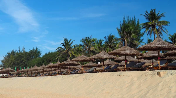 Tropik plaj, Phan Thiet, Vietnam