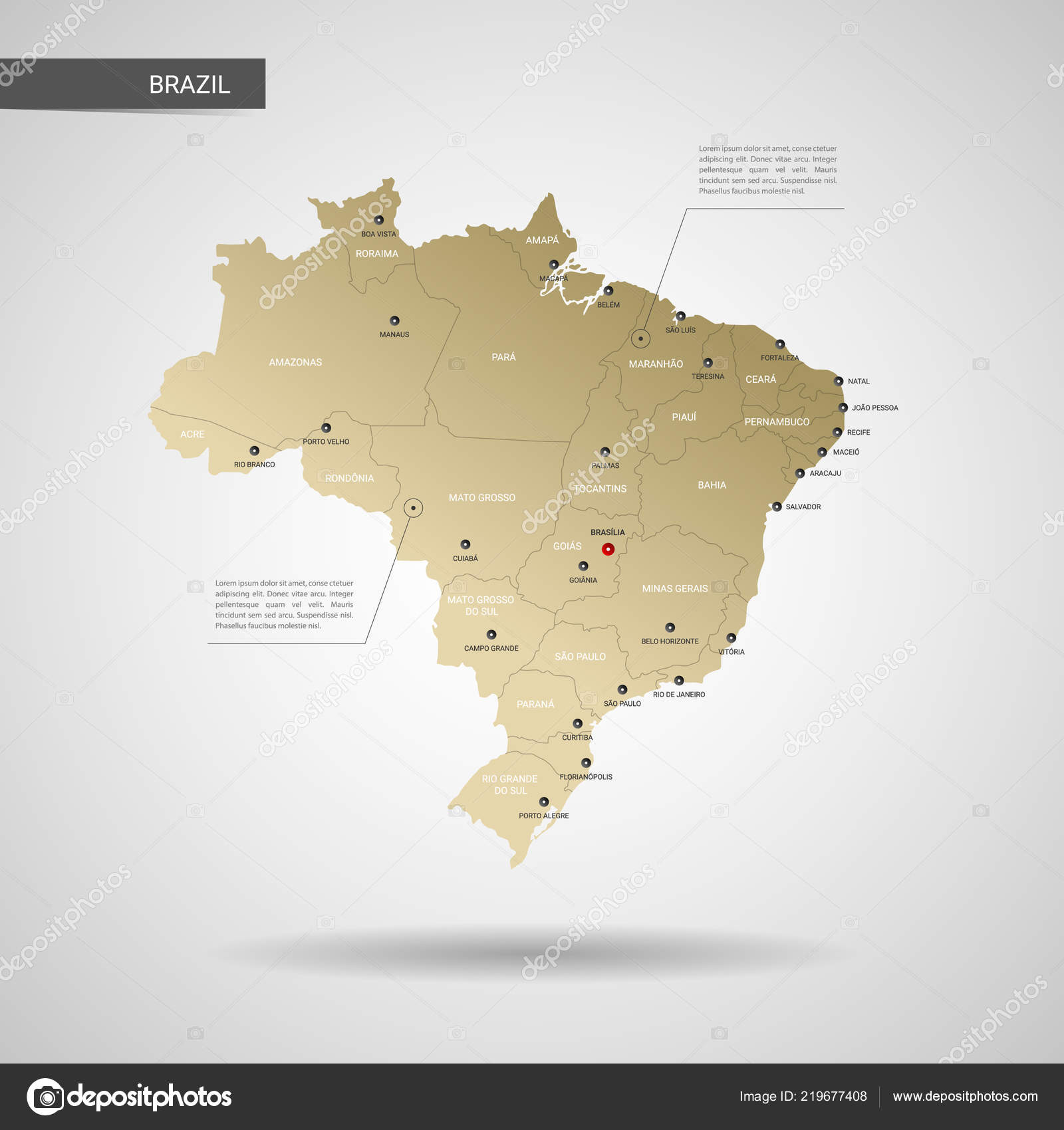 Brazil Political Map With Capital Brasilia, National Borders And