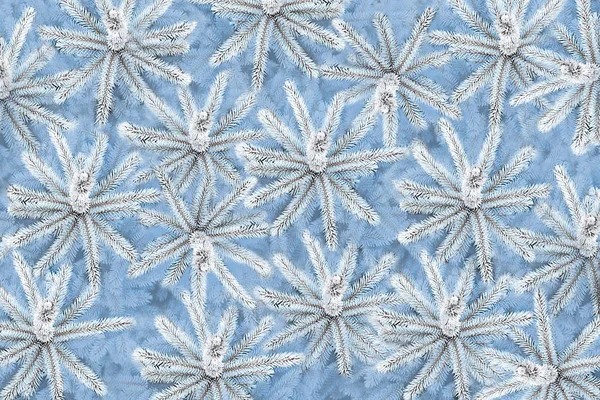 雪に覆われたグループ内の青のトウヒ 上からの眺め — ストック写真