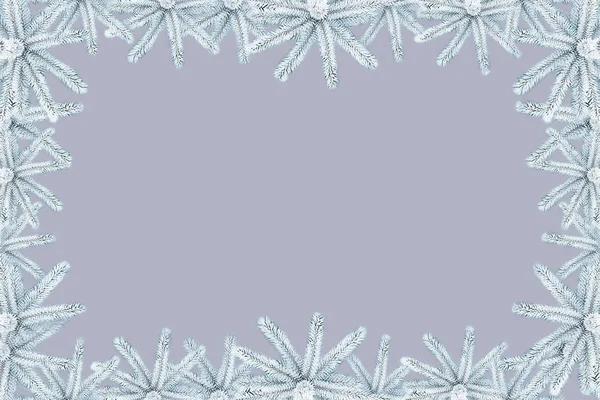 圣诞节背景雪覆盖的刺云杉在帆布与一个地方为题字 时尚的色彩校正 — 图库照片