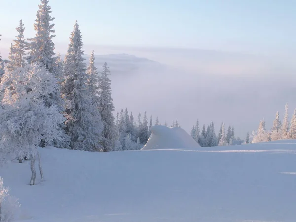 Лыжный склон в тумане и сугроб в виде медведя . — стоковое фото