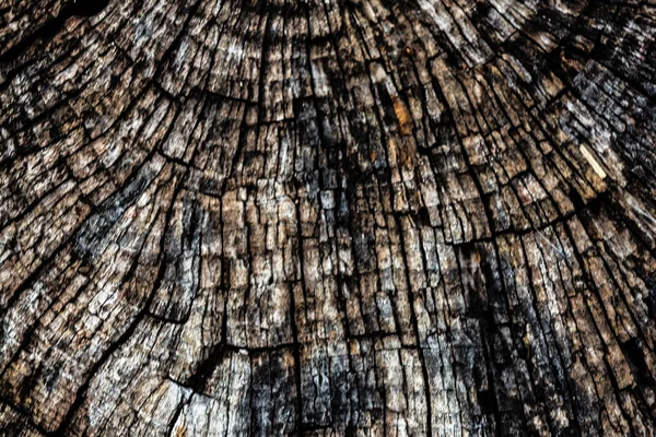 Размытый Фон Продольной Текстуры Темного Дерева — стоковое фото