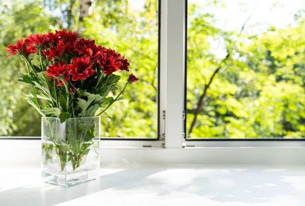 Window Glass Vase Red Chrysanthemums — Stok fotoğraf