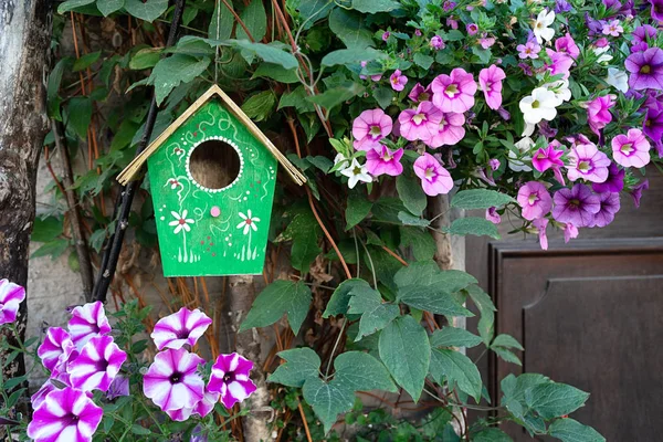 Een groen vogelhuisje hangt aan een boom omringd door petunia bloemen. — Stockfoto