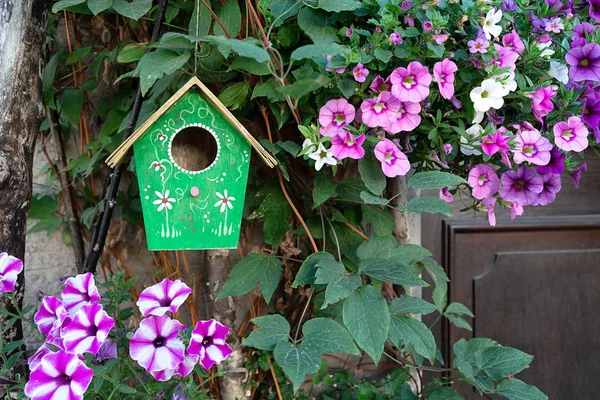 Una casetta verde per uccelli pende su un albero circondato da fiori di petunia. — Foto Stock