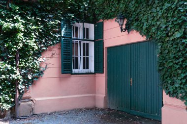 Yabani üzüm ile kaplıdır pembe evde görünümünü.