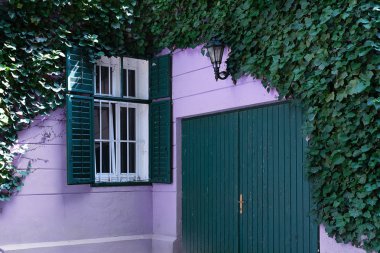 Yabani üzüm sarılmış leylak gören manzarası.