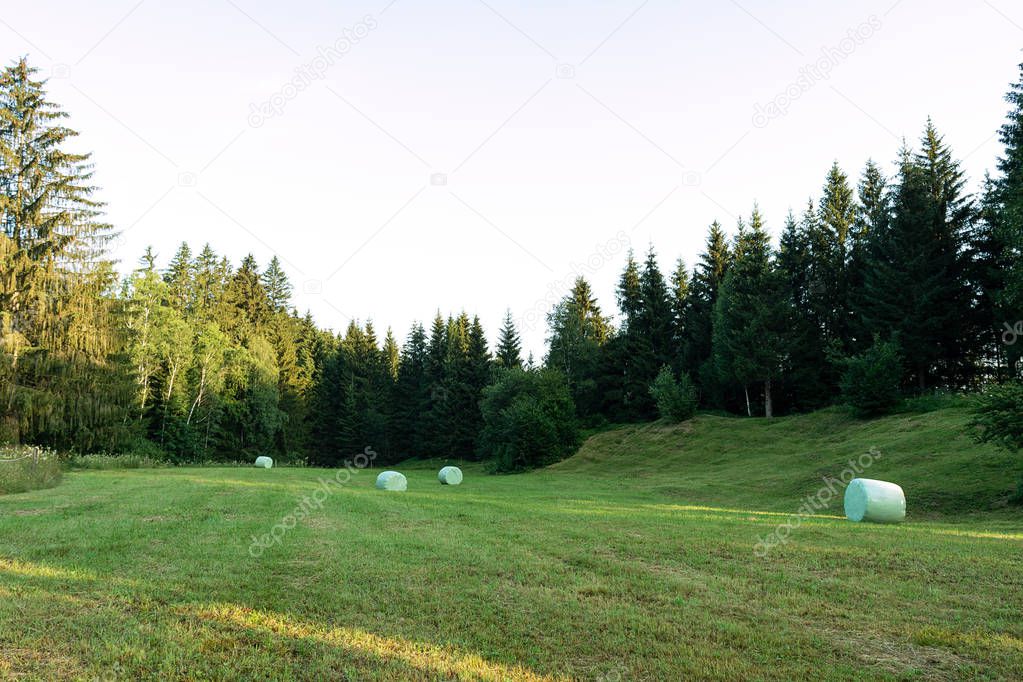 View of the mown field on which bales of hay are wrapped in cellophane.