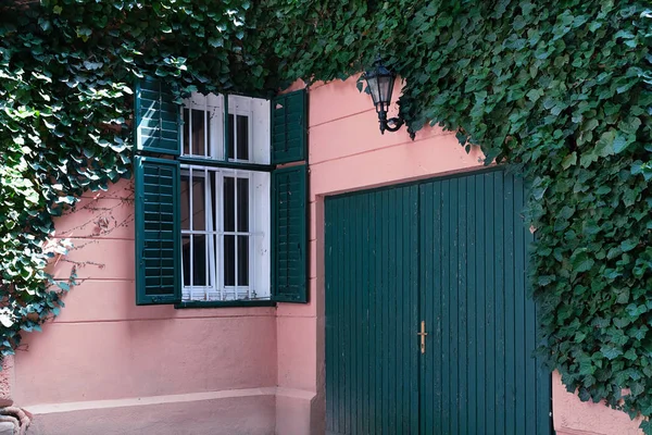 Yabani üzüm ile kaplıdır pembe evde görünümünü